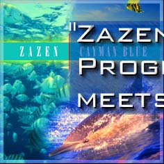 Zazen is where progressive rock meets New age